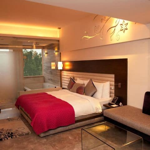 Super Deluxe Room image 3